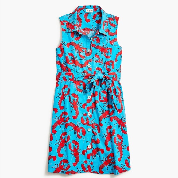 Crewcuts Other - CREWCUTS Lobster Shirt Dress Size 8